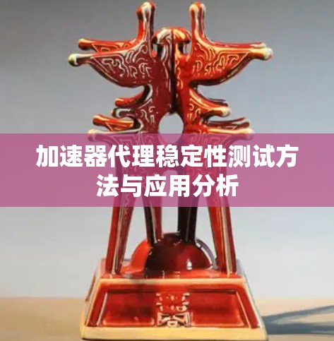 加速器代理稳定性测试方法与应用分析