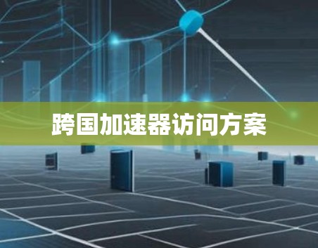跨国加速器访问方案