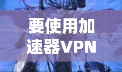 要使用加速器VPN在苹果设备上，以下是步骤指南