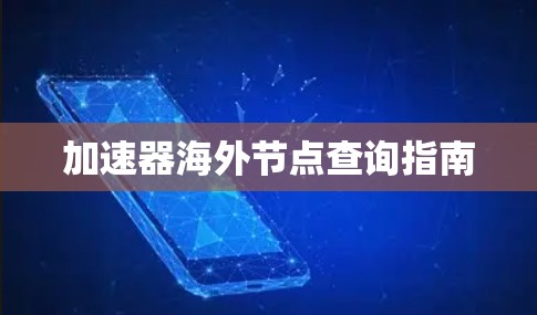 加速器海外节点查询指南