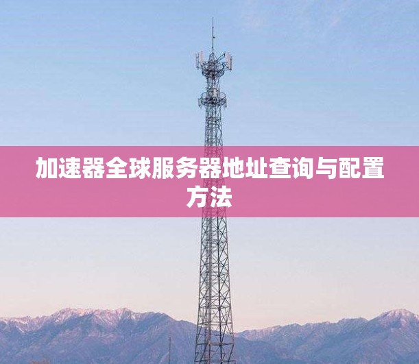 加速器全球服务器地址查询与配置方法