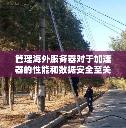 管理海外服务器对于加速器的性能和数据安全至关重要。以下是详细的步骤指南