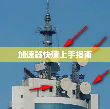 加速器快速上手指南