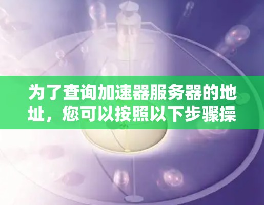 为了查询加速器服务器的地址，您可以按照以下步骤操作