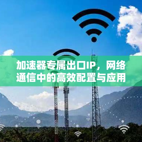 加速器专属出口IP，网络通信中的高效配置与应用