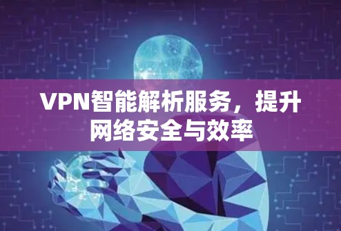 VPN智能解析服务，提升网络安全与效率