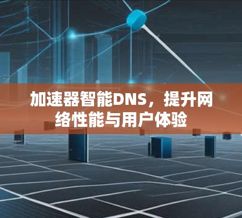 加速器智能DNS，提升网络性能与用户体验