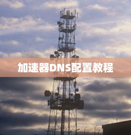 加速器DNS配置教程