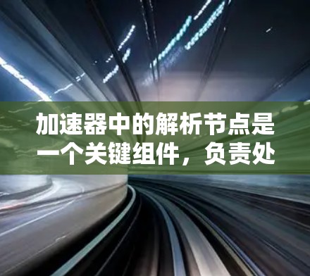 加速器中的解析节点是一个关键组件，负责处理和协调数据流，以确保加速器能够高效并行运作。以下是对解析节点职能的详细分析