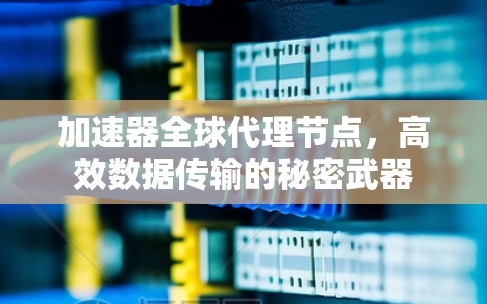 加速器全球代理节点，高效数据传输的秘密武器