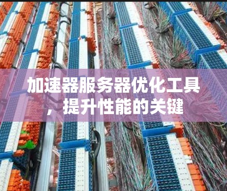 加速器服务器优化工具，提升性能的关键
