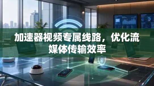 加速器视频专属线路，优化流媒体传输效率