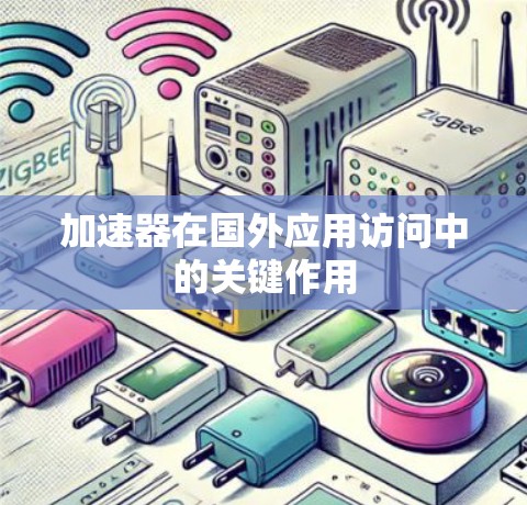 加速器在国外应用访问中的关键作用
