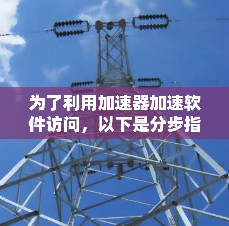 为了利用加速器加速软件访问，以下是分步指南