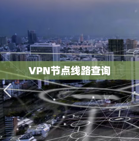 VPN节点线路查询