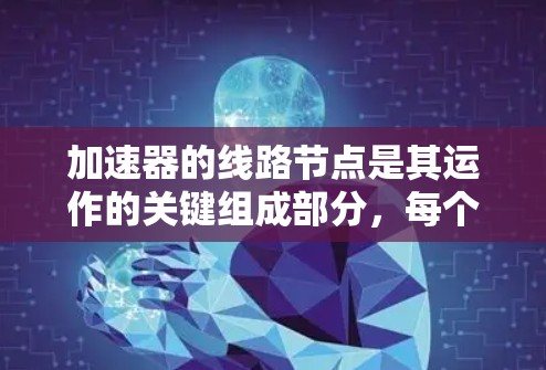 加速器的线路节点是其运作的关键组成部分，每个节点都发挥着重要作用。以下是加速器线路节点的详细分类和作用