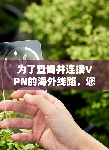 为了查询并连接VPN的海外线路，您可以按照以下步骤进行