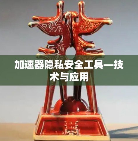 加速器隐私安全工具—技术与应用