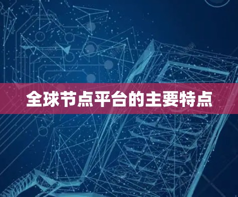 全球节点平台的主要特点