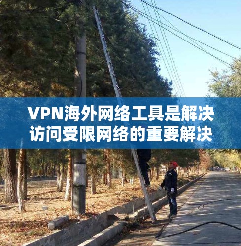 VPN海外网络工具是解决访问受限网络的重要解决方案，以下是详细的分析和建议