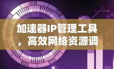 加速器IP管理工具，高效网络资源调度的利器