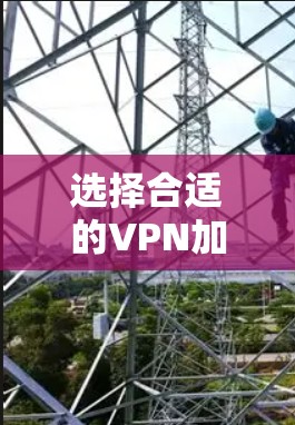 选择合适的VPN加速器软件，关键在于兼容性、隐私保护、速度效率、易用性、品牌可靠性和技术支持。以下是对各个因素的详细分析和推荐