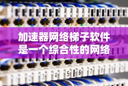 加速器网络梯子软件是一个综合性的网络设计和优化工具，结合了加速器技术和梯子软件的特点，帮助用户更高效地构建和优化网络架构，提升数据传输性能。以下是对其功能和价值的详细分析
