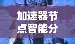 加速器节点智能分配，提升通信网络性能的关键技术