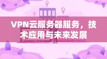 VPN云服务器服务，技术应用与未来发展