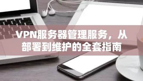 VPN服务器管理服务，从部署到维护的全套指南