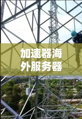 加速器海外服务器租赁，数字化时代的关键布局