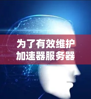 为了有效维护加速器服务器，以下是一个结构化的步骤指南