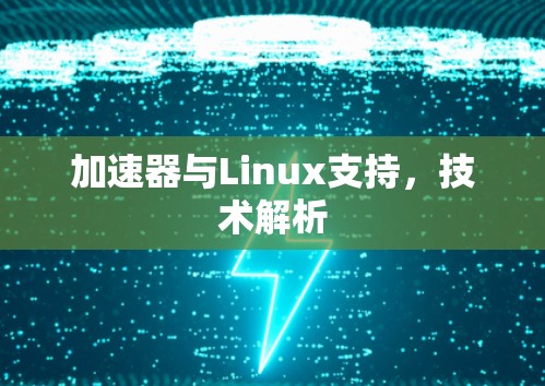 加速器与Linux支持，技术解析