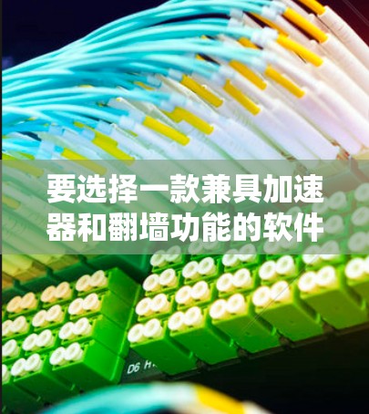 要选择一款兼具加速器和翻墙功能的软件，可以按照以下步骤进行