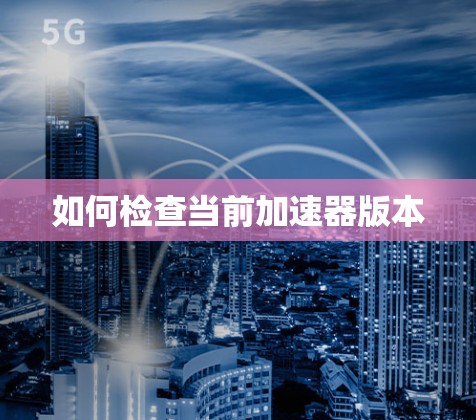 如何检查当前加速器版本