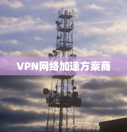 VPN网络加速方案商