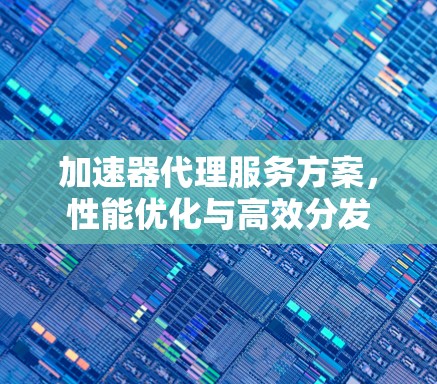 加速器代理服务方案，性能优化与高效分发