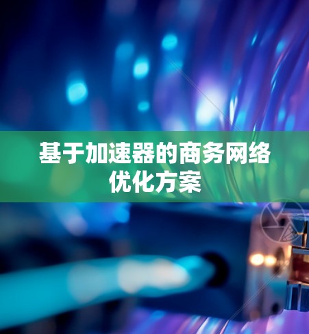 基于加速器的商务网络优化方案