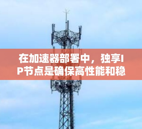 在加速器部署中，独享IP节点是确保高性能和稳定性的关键因素。以下是对这一概念的详细解释和总结