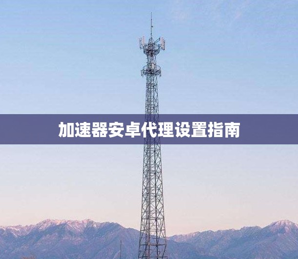 加速器安卓代理设置指南