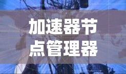 加速器节点管理器是一个复杂而重要的系统，用于管理和优化加速器节点的性能和资源分配。以下是对其功能、技术实现、优化点及应用场景的详细分析