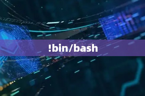 !bin/bash