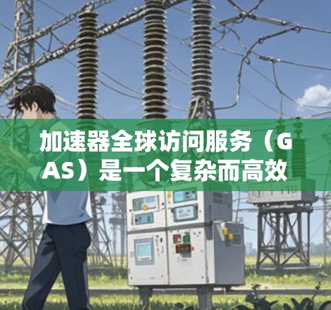 加速器全球访问服务（GAS）是一个复杂而高效的技术，旨在通过优化数据传输路径和缓存机制，确保用户能够快速访问内容。以下是对加速器和GAS的详细分析