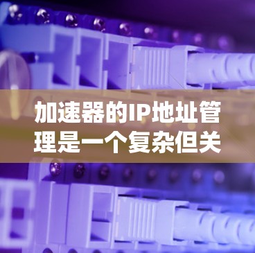 加速器的IP地址管理是一个复杂但关键的任务，涉及多个方面的考虑。以下是对加速器IP地址管理的系统性总结