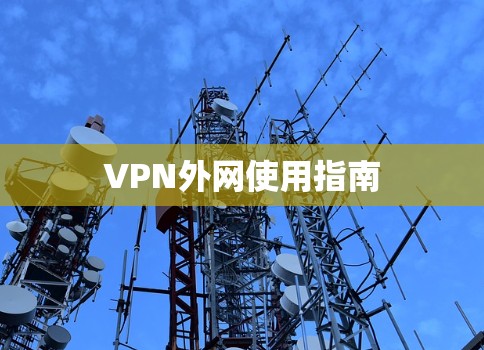 VPN外网使用指南