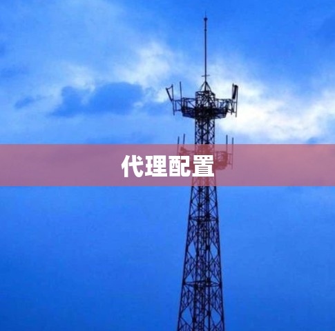代理配置