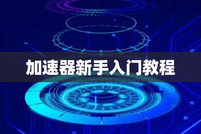 加速器新手入门教程
