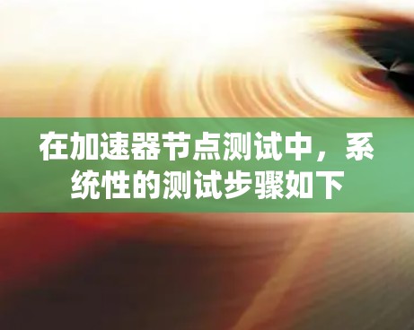 在加速器节点测试中，系统性的测试步骤如下