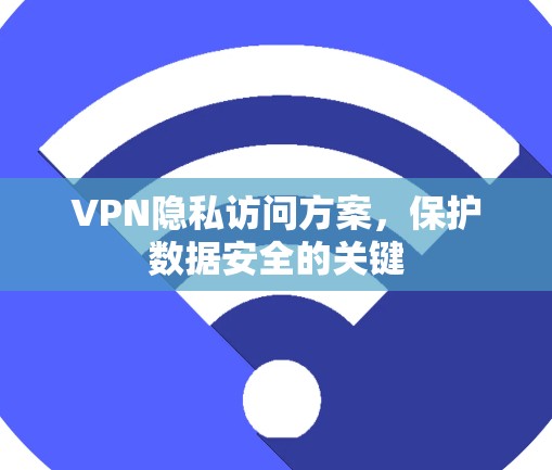 VPN隐私访问方案，保护数据安全的关键