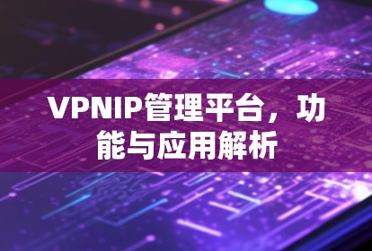 VPNIP管理平台，功能与应用解析